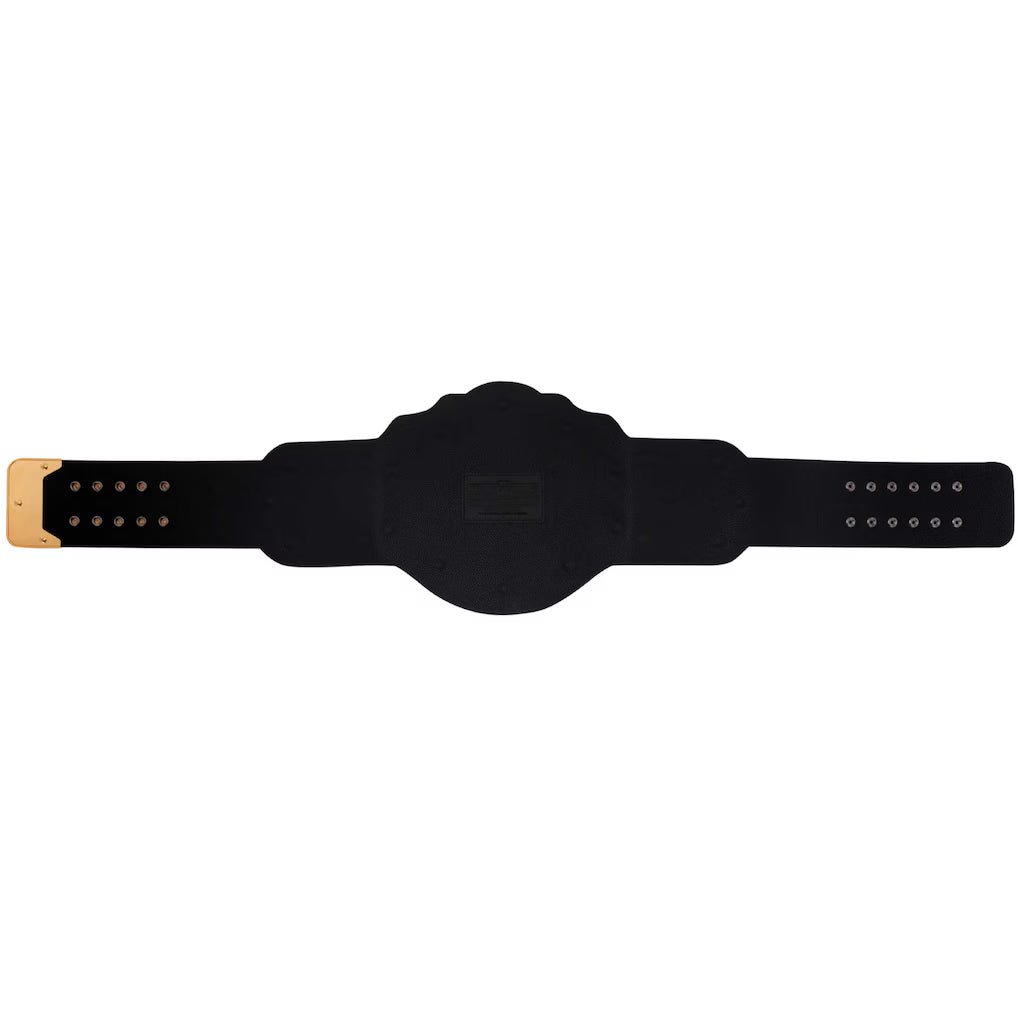 WWE World Heavyweight Championship Commemorative Title Belt